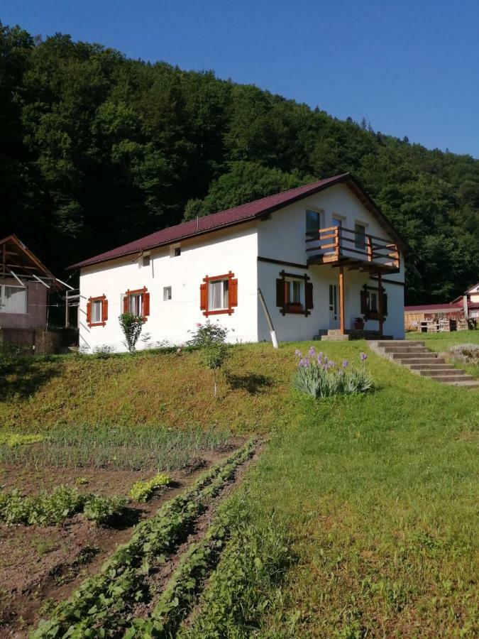 Hotel Pensiunea Bobu Izvoru Muntelui Exterior foto